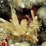 Mimetite, Carminite, Scorodite
FOV = 2.8 mm
(Autor: Doug)
