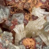 Mimetite, Carminite, Scorodite
FOV = 3.0 mm
(Autor: Doug)