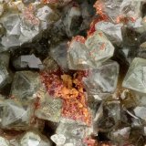 Scorodite, Carminite
FOV = 3.6 mm
(Autor: Doug)