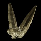 Quartz (variety smoky quartz)
35 x 6 x 25 mm
(Autor: Rob Schnerr)