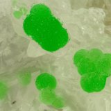 Conichalcite
FOV = 1.6 mm
(Autor: Doug)