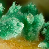 Malachite
FOV = 1.6 mm
(Autor: Doug)