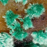 Malachite
FOV = 3.0 mm
(Autor: Doug)