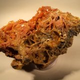 Wulfenite, Mimetite
110 mm x 60 mm x 55 mm
(Autor: Robert Seitz)