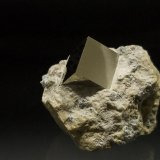 Pyrite
1 x 1 cm - Pyrite is 1 x 1 cm
(Autor: Richard Arseneau)