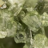 Vesuvianite
FOV = 1.4 mm
(Autor: Doug)