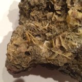 Wulfenite
55 X 40 mm
(Autor: Robert Seitz)