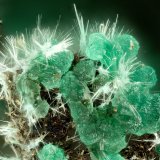 Adamite, Mixite
FOV = 1.8 mm
(Autor: Doug)