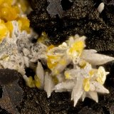 Vanadinite, Descloizite
FOV = 1.3 mm
(Autor: Doug)