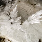 Thomsonite-Ca
FOV = 3.1 mm
(Autor: Doug)