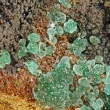 Adamite
FOV = 3.1 mm
(Autor: Doug)