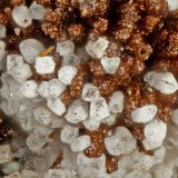 Wardite
FOV = 0.9 mm
(Autor: Doug)