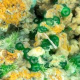 Mixite, Conichalcite
FOV = 2.9 mm
(Autor: Doug)