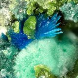 Connellite
FOV = 1.3 mm
(Autor: Doug)