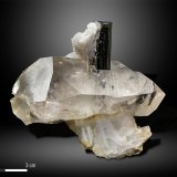 Elbaite on Quartz
68 x 60 mm
(Autor: Manuel Mesa)