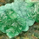 Philipsburgite
FOV = 1.9 mm
(Autor: Doug)