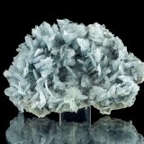 9,5 x 6,5 x 2 cm
(Autor: Niels Brouwer)