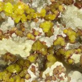 Gartrellite, Carminite
FOV = 1.7 mm
(Autor: Doug)
