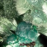 Olivenite, Cornwallite
FOV = 3.5 mm
(Autor: Doug)