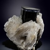 Elbaite and Albite (variety cleavelandite)
37 x 33 mm
(Autor: Manuel Mesa)