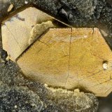 Pyrrhotite
FOV = 1.1 mm
(Autor: Doug)