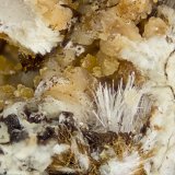Adamsite-(Y)
FOV = 4mm
(Autor: Doug)