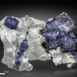 Fluorite and Sphalerite
126 X 73 mm
(Autor: Manuel Mesa)