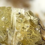 Elpidite
(Autor: Doug)