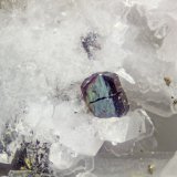 Columbite-(Fe)
FOV = 1.2mm
(Autor: Doug)