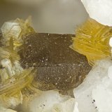 Gmelinite-Na  Franconite
FOV = 4mm
(Autor: Doug)