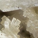 Horvathite-(Y)
FOV = 2mm
(Autor: Doug)
