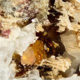 Manganoneptunite
FOV = 4mm
(Autor: Doug)