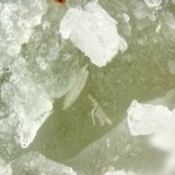 Martinite
FOV = 2mm
(Autor: Doug)