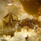 Monazite-(Ce)
FOV = 2mm
(Autor: Doug)