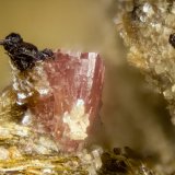 Petarasite
FOV = 2mm
(Autor: Doug)