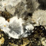 Cowlesite
FOV = 1.2 mm
(Autor: Doug)