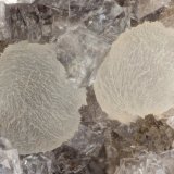 Thomsonite-Ca, Chabazite-Ca
FOV = 3.5 mm
(Autor: Doug)