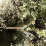 Epidote, Aenigmatite
FOV = 0.9 mm
(Autor: Doug)
