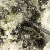 Aenigmatite
FOV = 1.4 mm
(Autor: Doug)