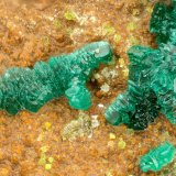 Brochantite
FOV = 1.5 mm
(Autor: Doug)