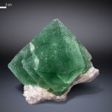 Fluorite
92 X 67 mm
(Autor: Manuel Mesa)