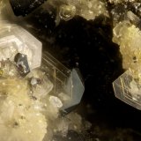 Phlogopite
FOV = 1.0 mm
(Autor: Doug)