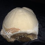Calcite, Sphalerite
150 mm x 150 mm x 95 mm
(Autor: Robert Seitz)