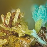 Mimetite, Chrysocolla
FOV = 1.6 mm
(Autor: Doug)