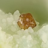Descloizite
FOV = 0.9 mm
(Autor: Doug)