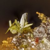 Fornacite
FOV = 0.7 mm
(Autor: Doug)