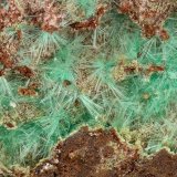 Agardite-(Y)
FOV = 4.0 mm
(Autor: Doug)