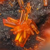 Realgar
FOV = 1.3 mm
(Autor: Doug)