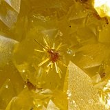 Whitmoreite
FOV = 2.0 mm
(Autor: Doug)