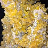 Wulfenite
100 X 90 mm
(Autor: Robert Seitz)